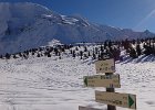 DSC00920