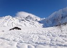 DSC00925