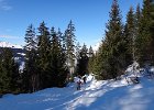 DSC00928