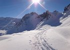 DSC00984
