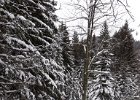 20180211 114454