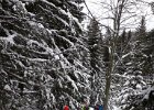 20180211 114510(0)