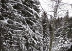 20180211 114515