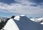 IMG 4462