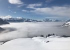 IMG 4468