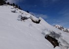DSC01109
