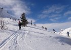 DSC01134