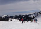 DSC01398