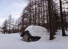 DSC01452