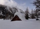 DSC01454