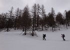 DSC01472