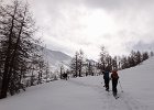 DSC01479