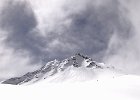 DSC01501