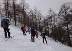 DSC01517