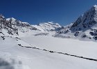 DSC03230
