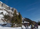 IMG 7215