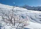 IMG 7544 : 2019-03-16_Lr_Bostan_mines_or, 2019-03-16_Lr_Bostan_mines_or_album, 2019-03-16_Lr_Bostan_mines_or_scouts