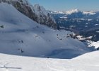 IMG 7787 : 2019-03-23_Lr_Dents_Blanches_occidentales, 2019-03-23_Lr_Dents_Blanches_occidentales_album2, 2019-03-23_Lr_Dents_Blanches_occidentales_bestof, 2019-03-23_Lr_Dents_Blanches_occidentales_scouts