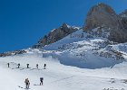 IMG 7836 : 2019-03-23_Lr_Dents_Blanches_occidentales, 2019-03-23_Lr_Dents_Blanches_occidentales_album2, 2019-03-23_Lr_Dents_Blanches_occidentales_bestof, 2019-03-23_Lr_Dents_Blanches_occidentales_scouts