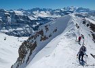 IMG 7902 : 2019-03-23_Lr_Dents_Blanches_occidentales, 2019-03-23_Lr_Dents_Blanches_occidentales_album2, 2019-03-23_Lr_Dents_Blanches_occidentales_bestof, 2019-03-23_Lr_Dents_Blanches_occidentales_scouts