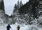 IMG 1189
