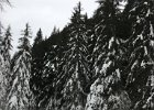 IMG 1194