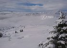 IMG-20210102-WA0008