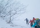 IMG 2297