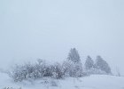 IMG 2301