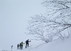 IMG 2302