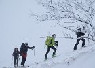 IMG 2304