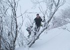 IMG 2306
