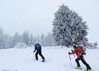 IMG 2307