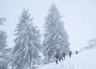 IMG 2309