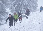 IMG 2311