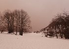 P2060009