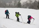 IMG 2829