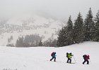 IMG 2831