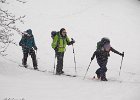 IMG 2832