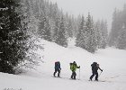 IMG 2833