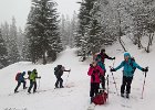 IMG 2835