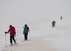 IMG 2842