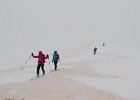 IMG 2843