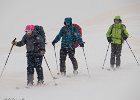IMG 2851