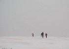 IMG 2853