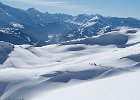 IMG 3115