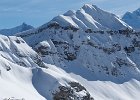 IMG 3117