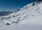 IMG 3128
