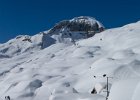 IMG 3131
