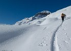 IMG 3132